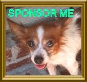 Help Sponsor Chilli